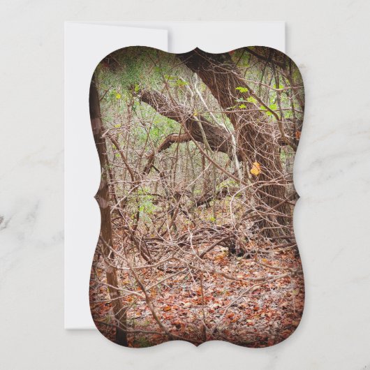 Einladung (Rückseite)