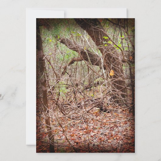 Einladung (Rückseite)