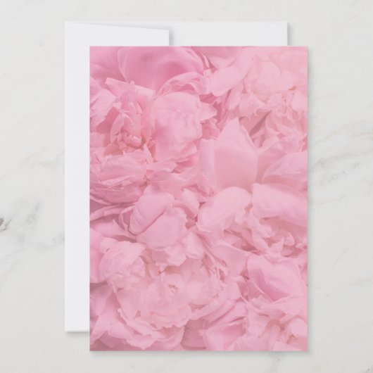 Einladung (Rückseite)