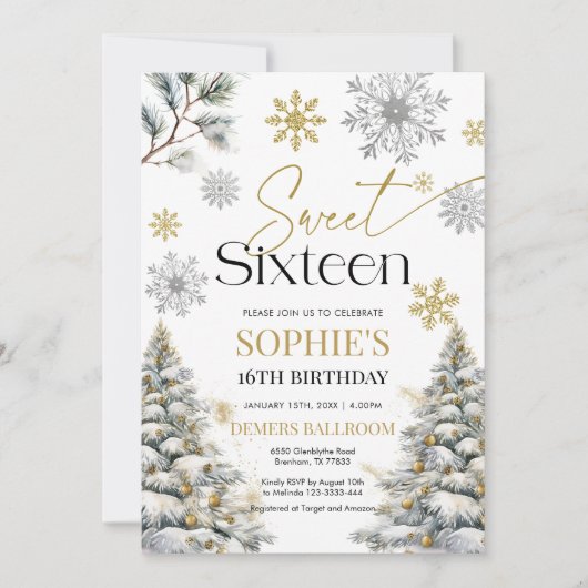 Einladung 16 . Geburtstag Winter zum Geburtstag (Vorderseite)