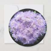 Einladung - Ageratum (Vorderseite)