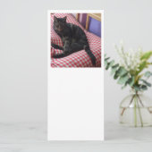 Einladung am niedlichen Dave 10.2 (Stehend Vorderseite)