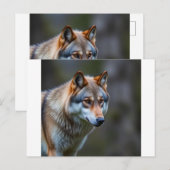 Einladung & Ankündigung  (Vorne/Hinten)