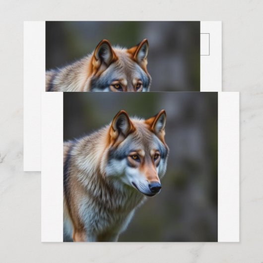 Einladung & Ankündigung  (Vorne/Hinten)