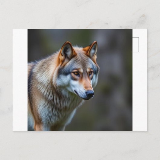 Einladung & Ankündigung  (Rückseite)