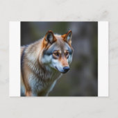 Einladung & Ankündigung  (Vorderseite)