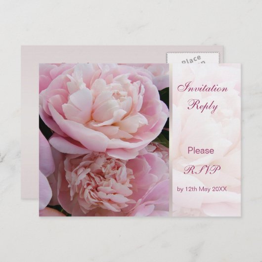 Einladung Antwort (UAWG) Postkarte. Rosa Pfennigfu (Vorne/Hinten)