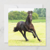 Einladung auf Platz - maßgeschneidert (Vorderseite)