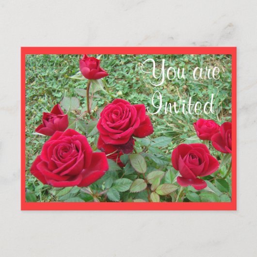 Einladung auf Postkarte oder Ankündigung anpassen (Vorderseite)