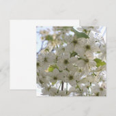 Einladung - Bradford Pear blühend (Vorne/Hinten)