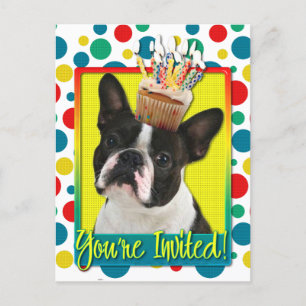 Einladung Cupcake - Boston Terrier