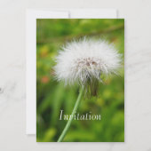 Einladung Dandelion (Vorderseite)