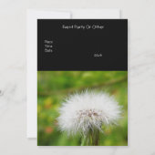 Einladung Dandelion (Rückseite)