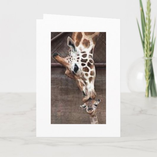 Einladung der Babydusche (Rückseite)