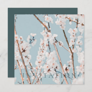 EINLADUNG DER ENGAGEMENT-PARTEI: PLUMBLOSSOM