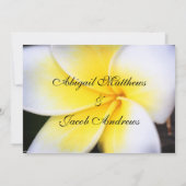 Einladung der Frangipani-Blume (Rückseite)