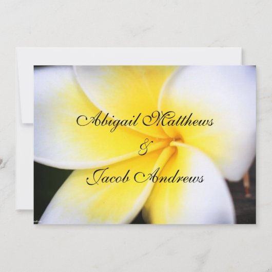 Einladung der Frangipani-Blume (Rückseite)