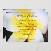 Einladung der Frangipani-Blume (Vorne/Hinten)