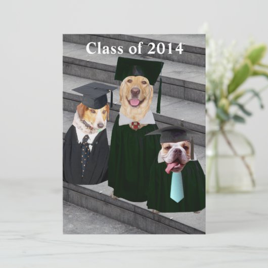 Einladung der Funny Dog Graduation Party (Stehend Vorderseite)