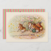 Einladung der Guinea Pig (Vorne/Hinten)