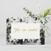 Einladung der Interessengruppe (Stehend Vorderseite)