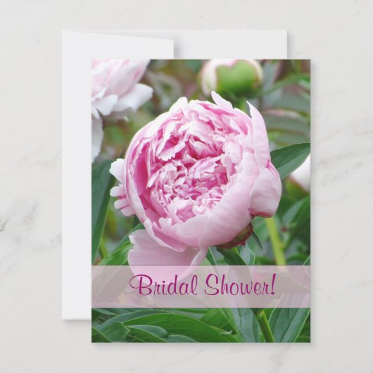 Einladung der japanischen Peony Bridal-Dusche (Vorderseite)