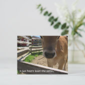 Einladung der Jugendgruppe (Stehend Vorderseite)