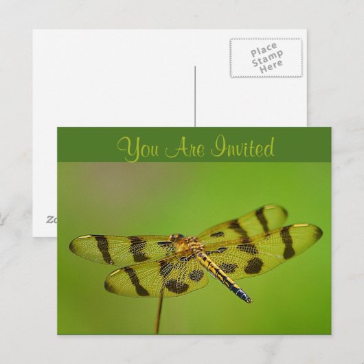 Einladung der Libelle (Vorne/Hinten)