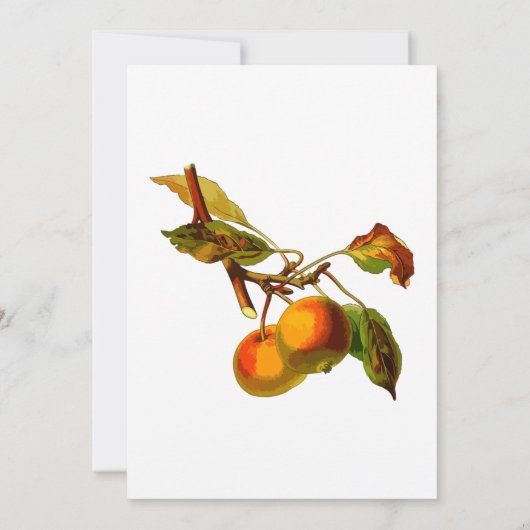 Einladung der Peach Bridal Dusche (Rückseite)