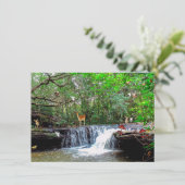 Einladung der verzauberten Waldwildzerne (Stehend Vorderseite)