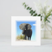 Einladung des afrikanischen Elefanten (Stehend Vorderseite)