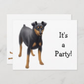 Einladung des Miniatur Piners (Vorne/Hinten)