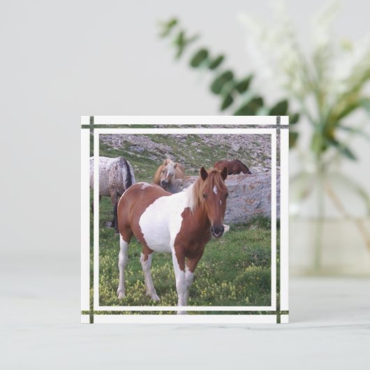 Einladung des Paint Horse (Stehend Vorderseite)