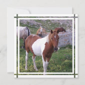 Einladung des Paint Horse (Vorderseite)