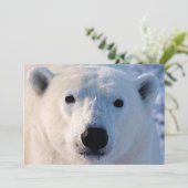 Einladung des Polarbären (Stehend Vorderseite)