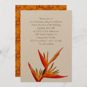 Einladung des tropischen Orangenvogels