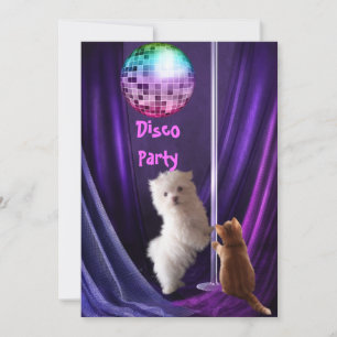 Einladung Disco-Party Hund Katze Malteser Welpe