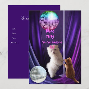 Einladung Disco-Party Hund Katze Malteser Welpe
