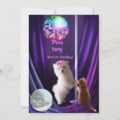 Einladung Disco Party Hunde Katze Maltesische Welp (Vorderseite)