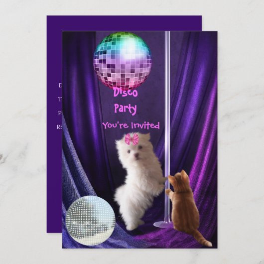 Einladung Disco Party Hunde Katze Maltesische Welp (Vorne/Hinten)