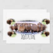 Einladung für GRILLEN oder Abendessen-Party (Vorne/Hinten)