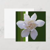 Einladung - Gardenia auf Streifen (Vorne/Hinten)