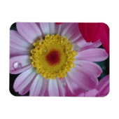 Einladung Magnet (Horizontal)