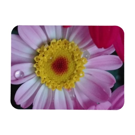 Einladung Magnet (Horizontal)