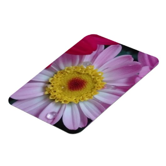 Einladung Magnet (Linke Seite)