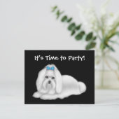 Einladung maltesischer Hund (Stehend Vorderseite)