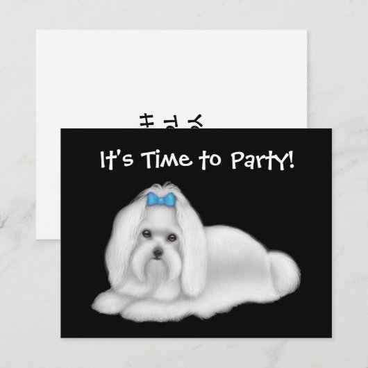 Einladung maltesischer Hund (Vorne/Hinten)