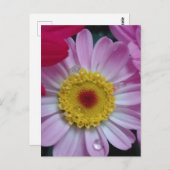 Einladung Postkarte (Vorne/Hinten)