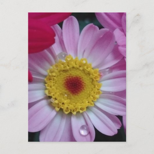 Einladung Postkarte (Vorderseite)