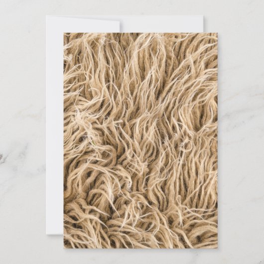 Einladung Postkarte 5" x 7" (Vorderseite)